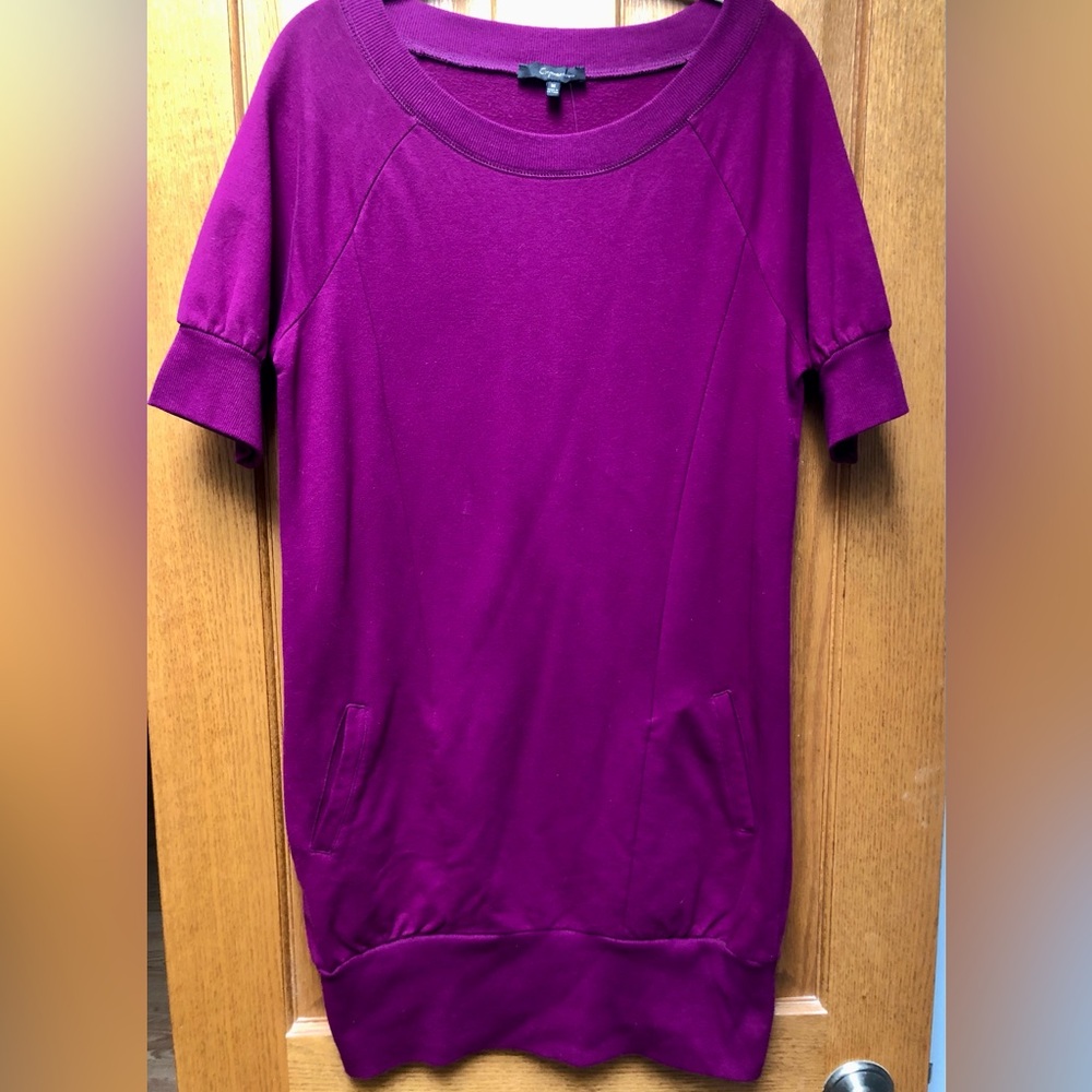 Express retro sweatshirt mini dress NWT